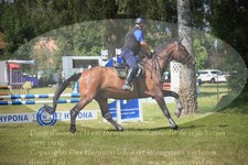 ref. photo 3262725