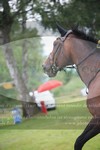 ref. photo 3262740