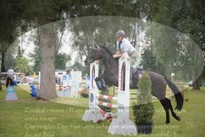 ref. photo 3262749