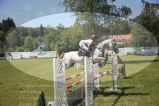 ref. photo 3262808