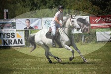 ref. photo 3262810