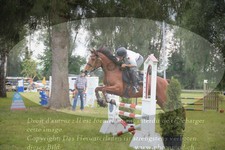 ref. photo 3262844
