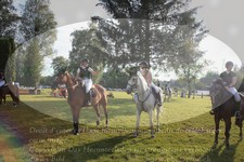 ref. photo 3262993