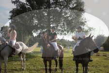 ref. photo 3262998