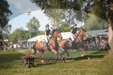 ref. photo 3263006