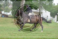 ref. photo 3724108
