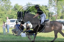 ref. photo 3724127