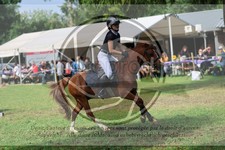 ref. photo 3724322