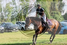 ref. photo 3724487