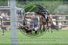 ref. photo 3725018