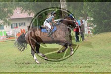ref. photo 3725120