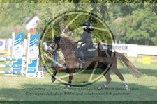 ref. photo 3725163