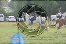 ref. photo 3725249