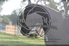 ref. photo 3725348