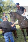ref. photo 3264262