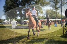 ref. photo 3264332