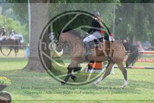 ref. photo 3727131