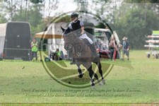 ref. photo 3727180