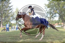 ref. photo 3727204
