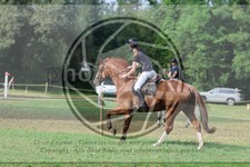 ref. photo 3727215