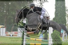 ref. photo 3727259