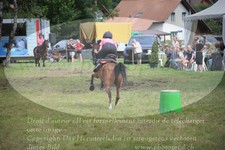 ref. photo 3264757