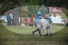 ref. photo 3264768