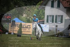 ref. photo 3264811