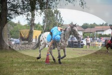 ref. photo 3264842