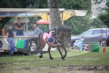 ref. photo 3264858