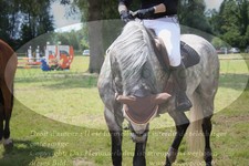 ref. photo 3264962