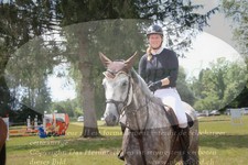 ref. photo 3264963