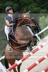 ref. photo 3621783