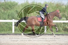 ref. photo 3621795