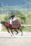ref. photo 3621801