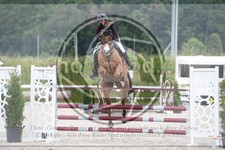 ref. photo 3622020
