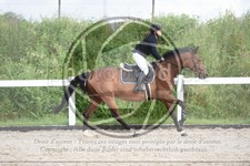ref. photo 3622036