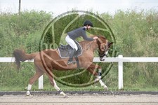 ref. photo 3622044