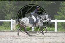 ref. photo 3622116