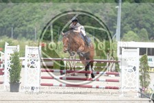 ref. photo 3622122