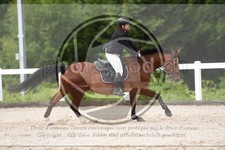 ref. photo 3622183