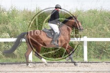 ref. photo 3622185