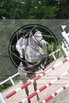 ref. photo 3622296