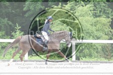 ref. photo 3622303