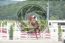 ref. photo 3622330