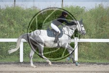 ref. photo 3622349