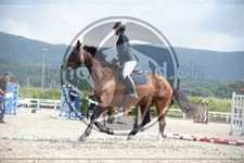 ref. photo 3622584