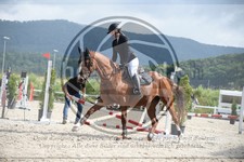 ref. photo 3622590