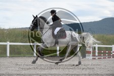 ref. photo 3646010