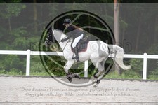 ref. photo 3646013